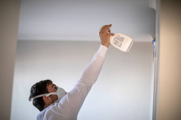 Best Home Mold Removal  in Ajo, AZ