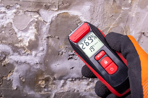 Ajo, AZ Mold Removal Company